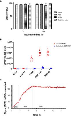 In Vitro Characterization of 177Lu-DOTA-M5A Anti-Carcinoembryonic Antigen Humanized Antibody and HSP90 Inhibition for Potentiated Radioimmunotherapy of Colorectal Cancer